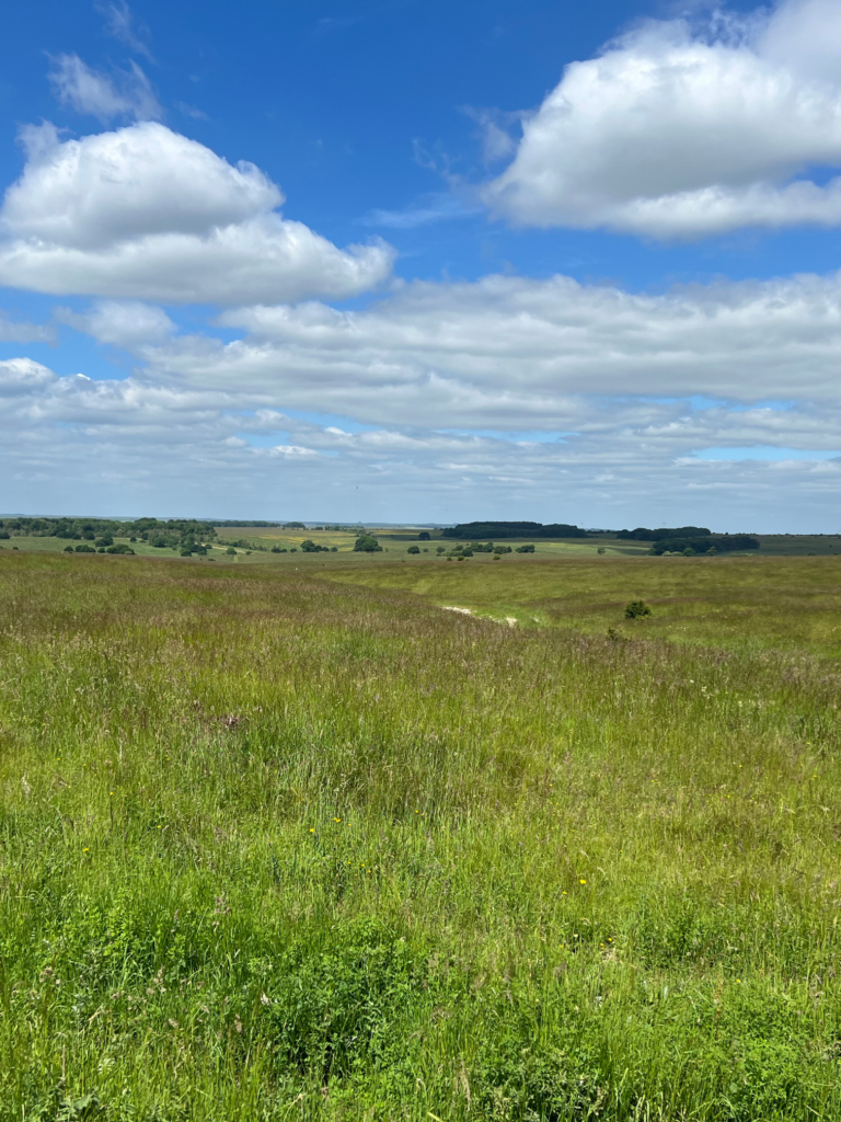 Open countryside